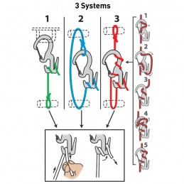 Figure 9 Carabiner Nite Ize