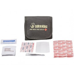 Mini Medical Kit